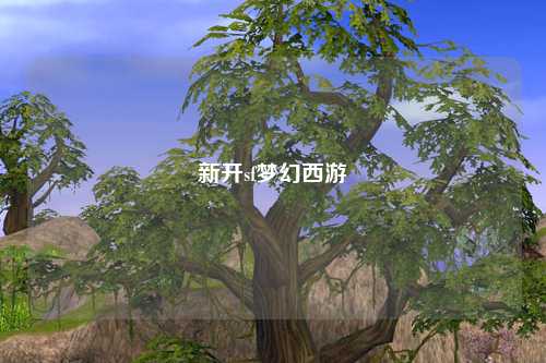 新开sf梦幻西游